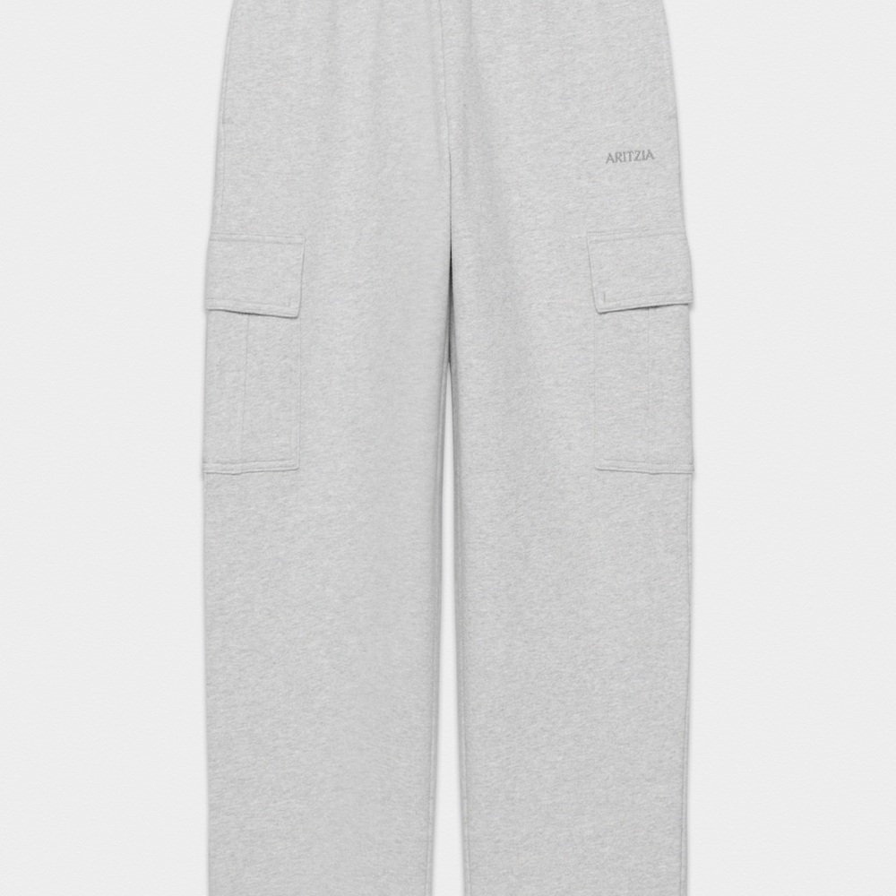 Aritzia Gray Cargo Pants